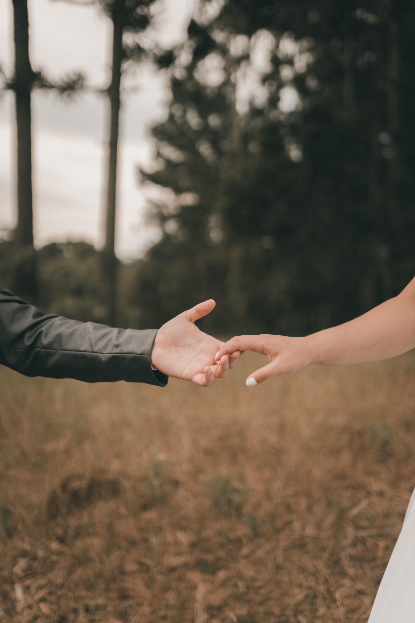 Close-up of a couple reaching for each other’s hands in a sunlit field